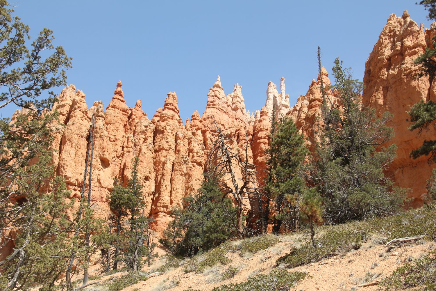 Queens/Navajo 